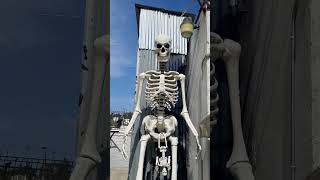 Giant skeleton💀giving birth lol😜💀