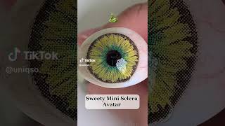 🆕🦇  Sweety Mini Sclera Halloween Contact Lenses Showcase  || Halloween 2023 Collection 👻🎃