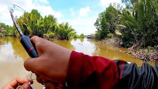 PENCARIAN SPOT BARRAMUNDI DI MUARA PENDAMARAN JAYA