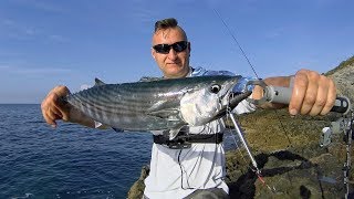 Red Porgy, Atlantic Bonito. Micro&Light shore jigging. 08.11.2018