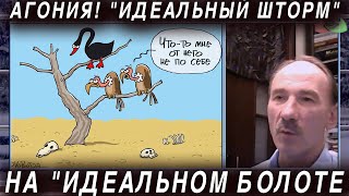 Губанов: Агония! "Идеальный шторм" на "идеальном болоте"