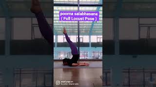 poorna salabhasana ( Full Locust Pose ) #yoga #backbendyoga #yogapractice #yogini #yogainspired