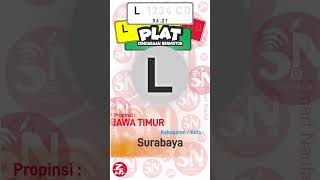 PLAT L