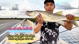 Câu cá biển đêm ở Mỹ cùng cần thủ 60 năm kinh nghiệm!| How catch SNOOK at night on bridge.