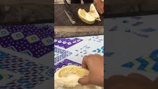 Buru Durian di Pantai Lapin Rupat