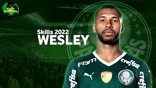 Wesley ● Skills 2022 ► Dribles, Golls, Assistências ► Full Season Show ● ᴴᴰ