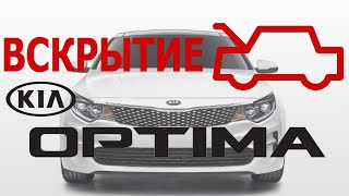 Kia Optima - как вскроют капот ТВОЕЙ OPTIMA? Тренд 2020