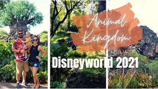 DISNEYWORLD VLOG 2021 | ANIMAL KINGDOM + DISNEY SPRINGS | DISNEY WITH A TODDLER