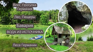 Пещера в лесу / Ледниковый период /Самые популярные деревья в Германии. В путь Влог 19