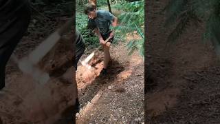 Trail fairies at work on a new trail 🧚#digging #mtb #mtbdirt #loam #shoveling #work