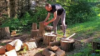 Splitting green elm