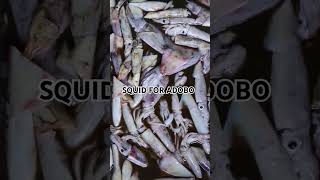 SQUID FOR ADOBO #squid #ulam #seafood #shortsfeed #shorts #youtubeshorts #youtubevideo #viralvideo