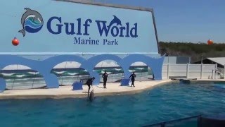 Panama City Beach Tourism ~ Gulf World