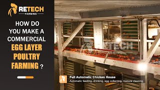 How do you make a commercial egg layer poultry farming ? - RETECH Farming