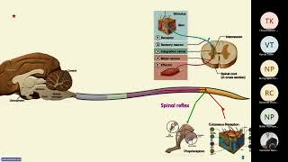 Physio 10 September BE 2567