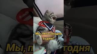 Что Где Когда!?) #смешноевидео #юмор #смех