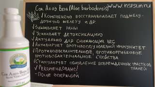 Сок Алоэ Вера НСП   целебные свойства