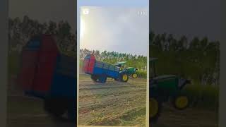 #phddairywala #cow #viral #farming #trending #silage #animallover #ytshorts #tractor #tractorvideo