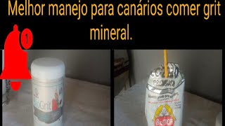 O melhor manejo para canários que não comem o grit mineral.