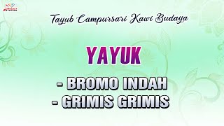 Yayuk - Bromo Indah, Grimis Grimi (Official Music Video)