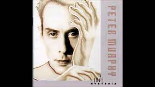 Funtime  Peter Murphy