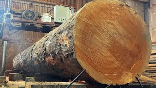 Techniques for Working With Extremely Dangerous Giant Saws - Cutting Rare Woods