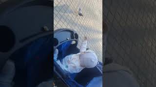 Feeding birds #musica #music #love #reggaeton #lifestyle #baby #babytravel #youtubeshorts #cutebaby