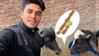 My First Vlog 2024 | Ankit Goswami Vlogs