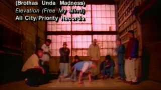 The B U M S (Brothas Unda Madness) - Elevation Free My Mind (1994)