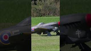 WWII British Fighter Taxiing on Grass Kicking Up Debris! #short #shorts