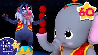 Animal Fair | Nursery Rhymes and Kids Songs | Little Baby Bum | Animal for Kids