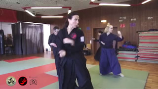 Gohshinkan Ryu Tsuki Waza Kata Move 1-20 of 108