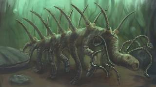 The Cambrian was a fever dream...