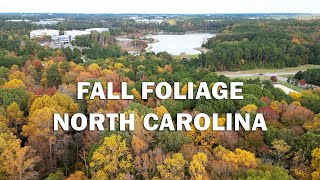 Fall Foliage in North Carolina | Scenic Drive | Cary Morrisville RTP