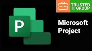 Microsoft Project | How to Create Issues in PPM 365