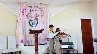 Especial violin