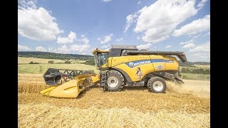 Žně 2017 - New Holland CX8070 SL Elevation on the hill