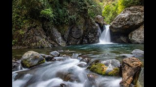 Nature River Sound / Nature sound / While working, studying, or meditating / Peace of mind