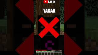 Minecraft ama Zıplamak YASAK !!