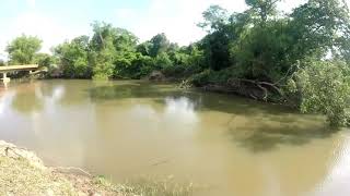 Técnica sorte ou isca boa !? Pesca de Lambari com isca artificial no rio caingangs.