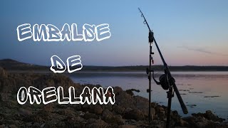 EMBALSE DE ORELLANA - CARPFISHING IN EXTREMADURA