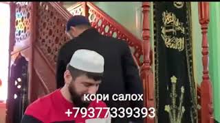 вот они читают Коран машАЛАХ