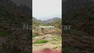 Nagarparkar #beautiful #nature #sindh #travel