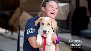 Helping Almost 1 Billion Animals in 2018 - Year in Review