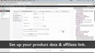 Build Datafeed Affiliate Stores With WordPress - Tutorial