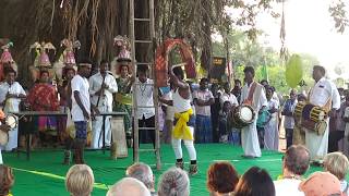 Tamilnadu pongal festival celebration/ cultural dance  / foreigners visiting tamilnadu