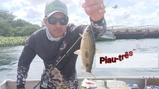 Pescaria de piau no Rio, pescaria caipira. #pescaria #pesca #fishing# #video