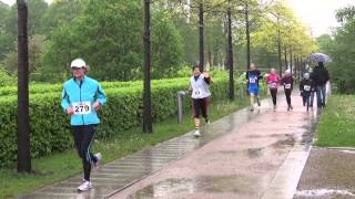 11. Mai 2014 VR Bank Stadtlauf Schleswig