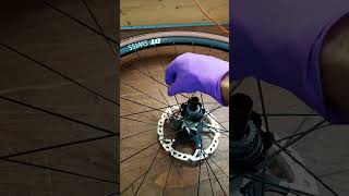 DT Swiss freeWheel & Shimano sprocket