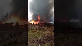 Полное видео под номером 38 на канале 🔥🔥🔥 #пожар #блогер #flame #blogger #fire #врек #тренды